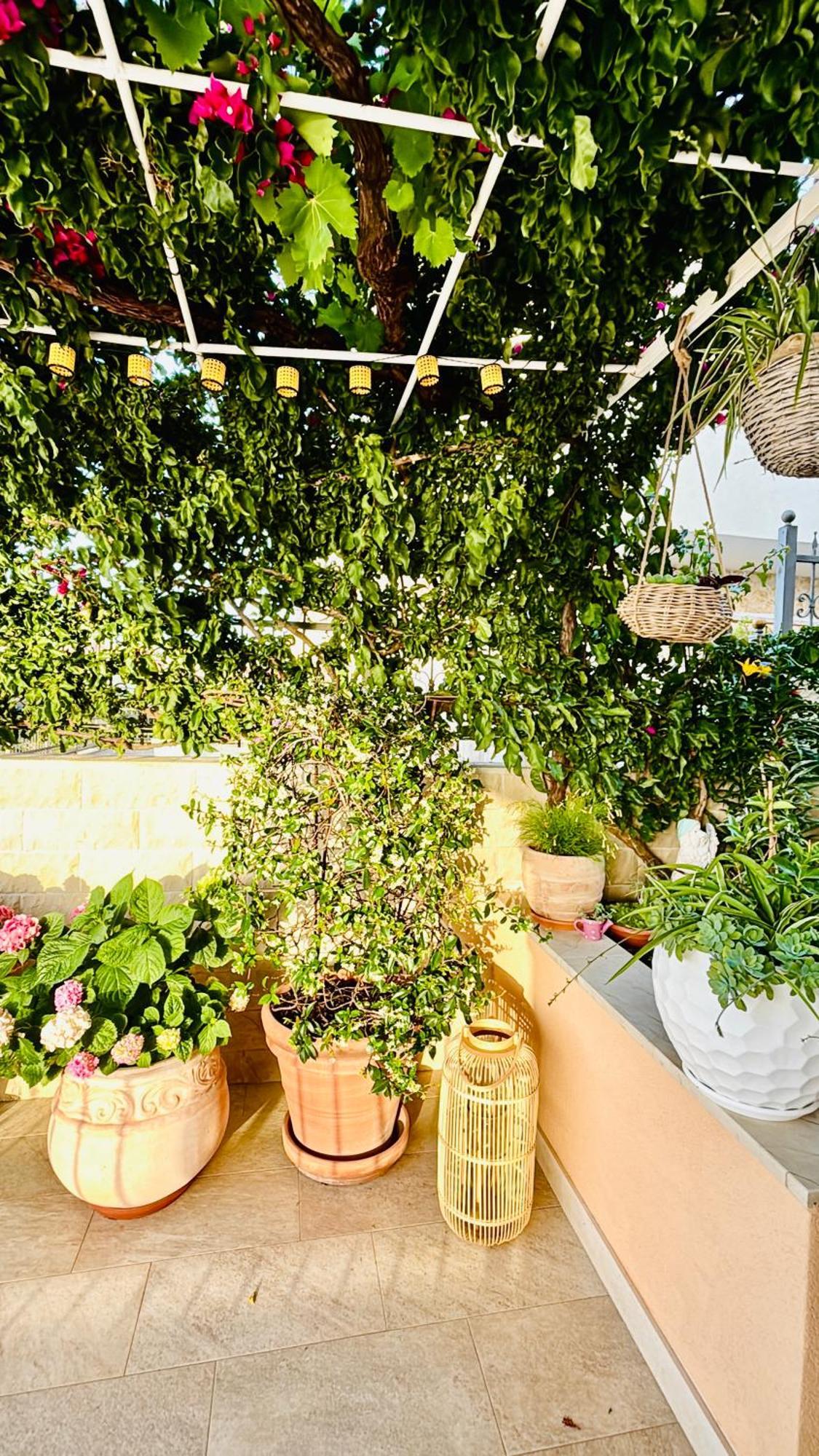 Apartment Sunny Elza 2 هفار المظهر الخارجي الصورة